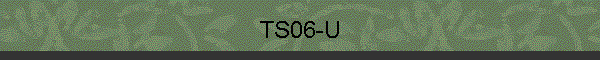 TS06-U