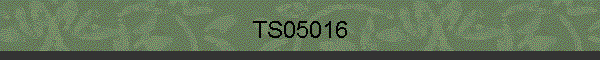 TS05016