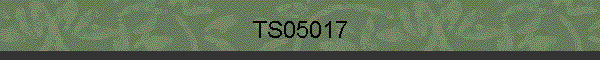 TS05017