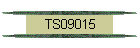 TS09015