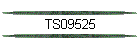 TS09525